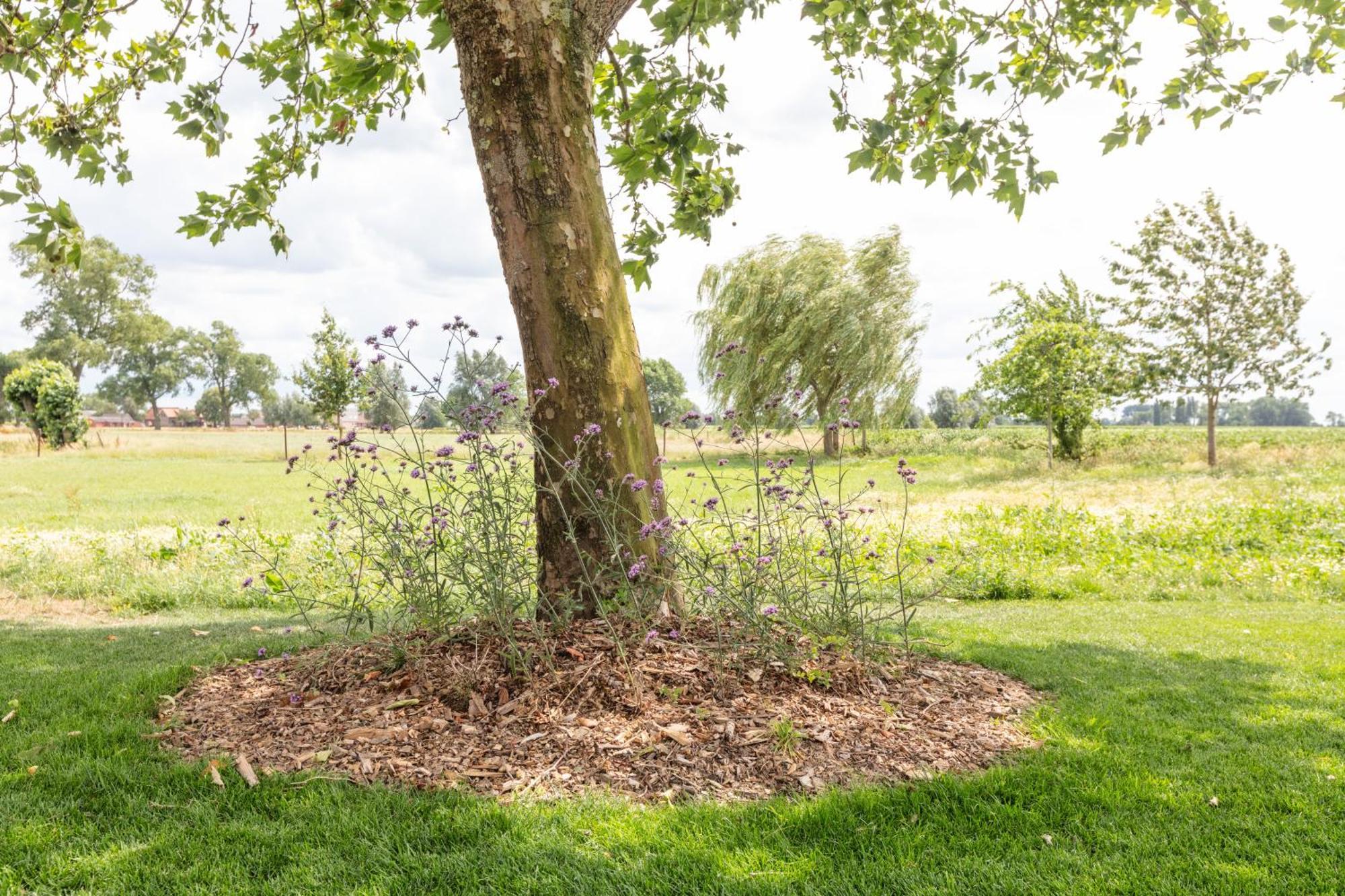 Het Eycken Huys Bed & Breakfast 3*